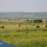 succession planning ag estates