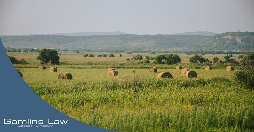 succession planning ag estates